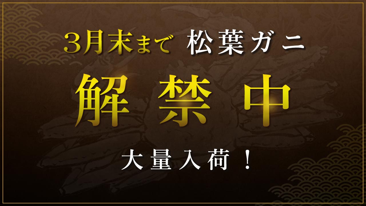 3月末まで松葉ガニ解禁中 大量入荷！